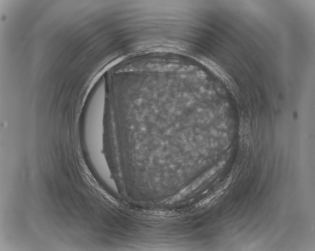 X0000081580790200702051238