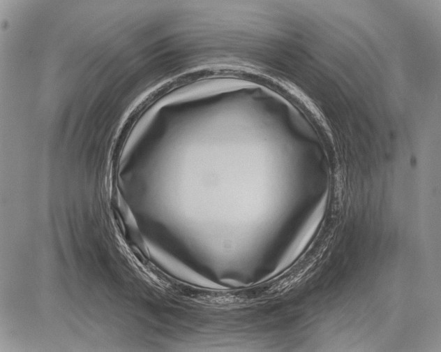 X0000081580791200702051238