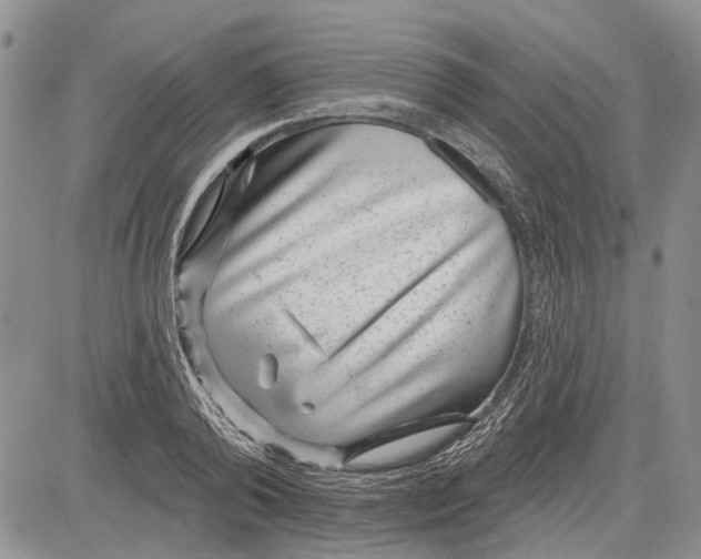 X0000081580792200702051238