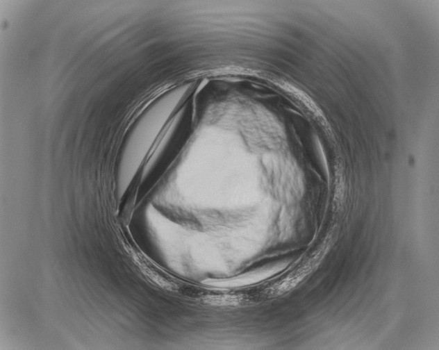 X0000081580793200702051238