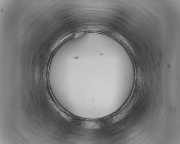 X0000081580794200702051238