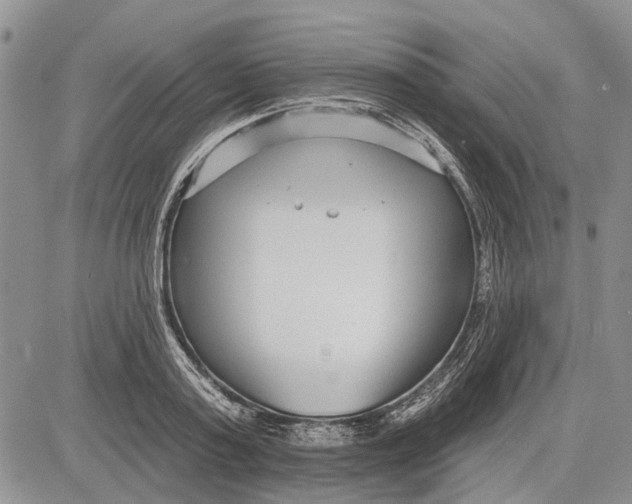 X0000081580795200702051238