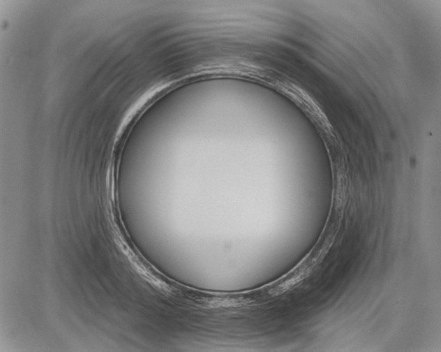 X0000081580796200702051238