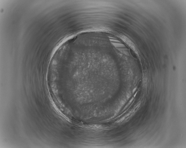 X0000081580797200702051238