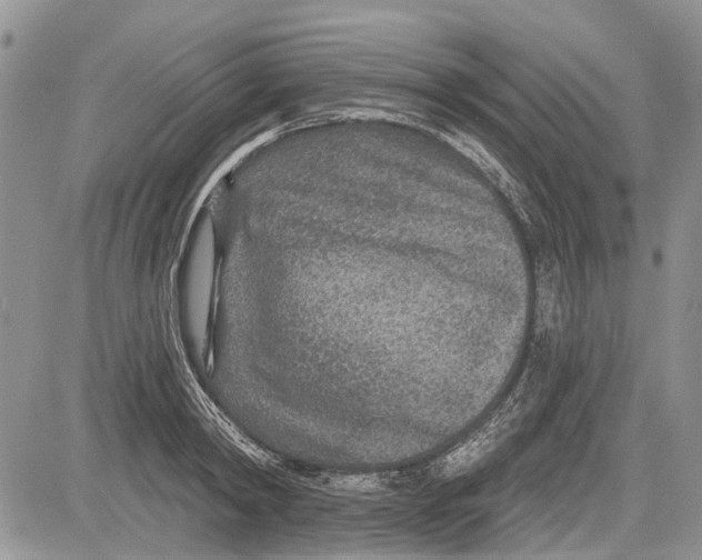 X0000081580798200702051238