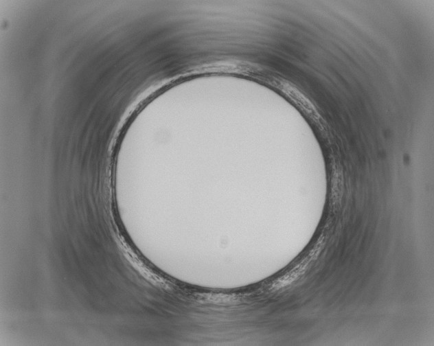 X0000081580800200702051238