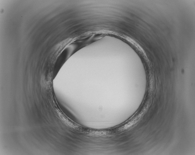 X0000081580801200702051238