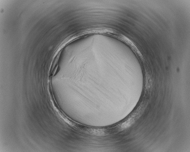 X0000081580802200702051238