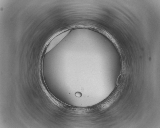 X0000081580803200702051238