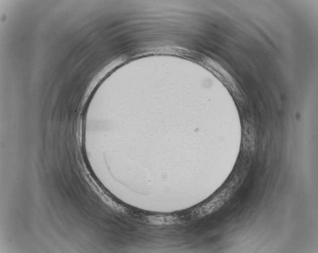 X0000081580804200702051238