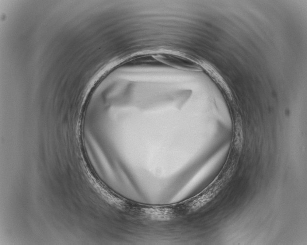 X0000081580805200702051238