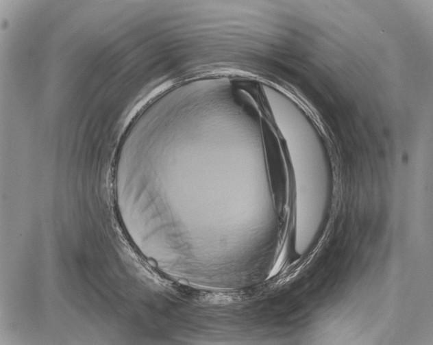 X0000081580806200702051238