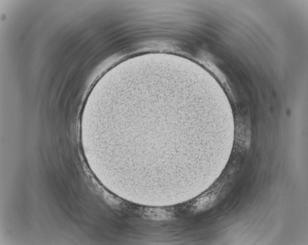 X0000081580807200702051238