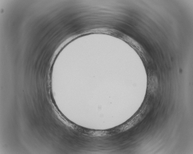 X0000081580808200702051238