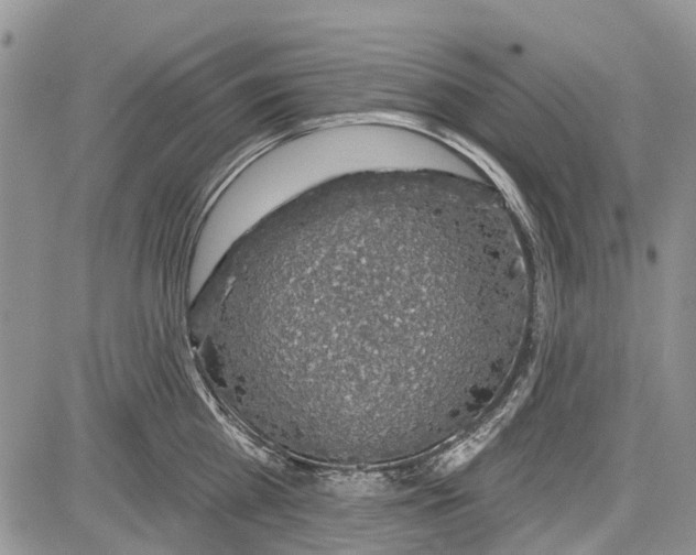 X0000081580809200702051238