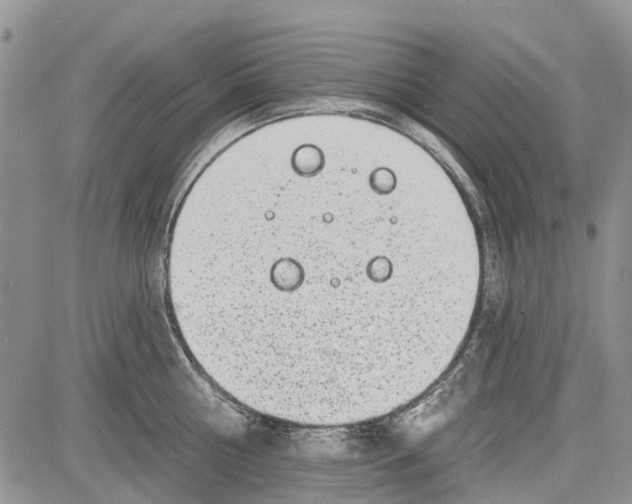 X0000081580810200702051238