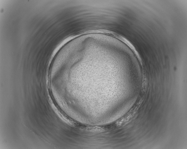 X0000081580811200702051237