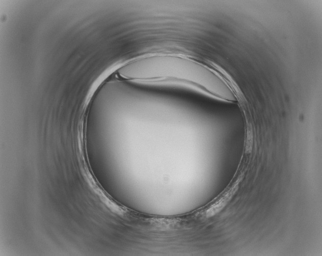 X0000081580812200702051237