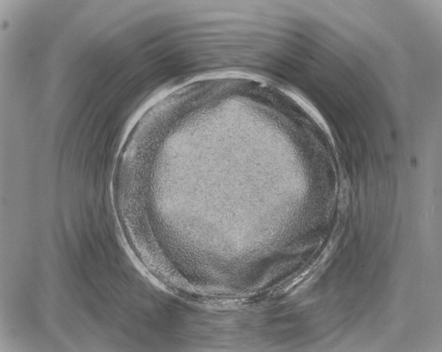 X0000081580813200702051237