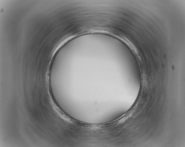 X0000081580814200702051237