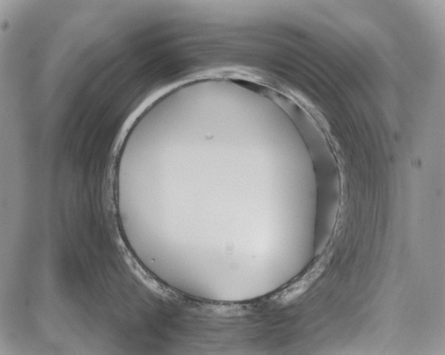 X0000081580816200702051237