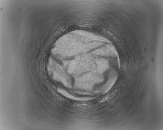 X0000081580817200702051237