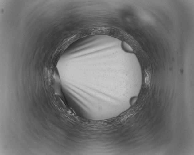 X0000081580819200702051237