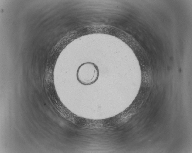 X0000081580820200702051237