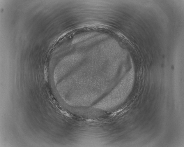 X0000081580822200702051237