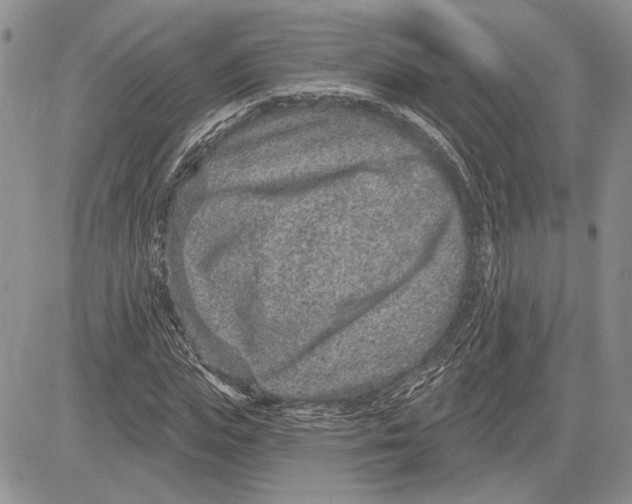 X0000081580823200702051237