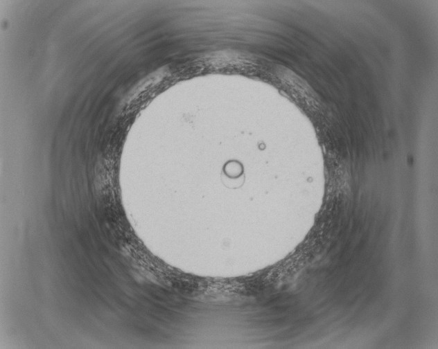 X0000081580824200702051237