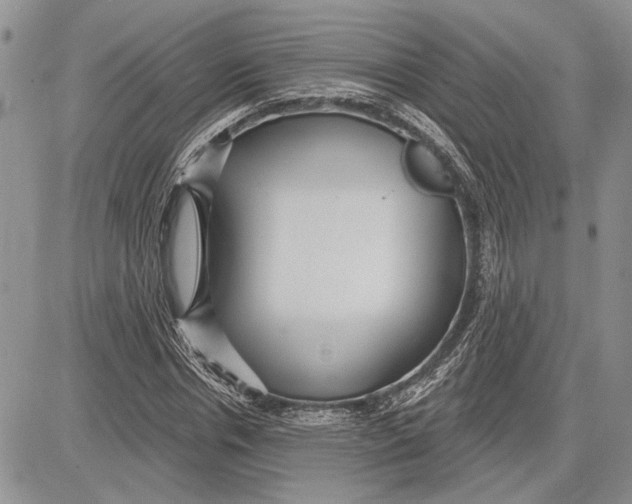 X0000081580826200702051237