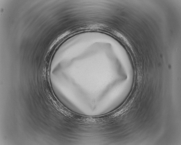 X0000081580827200702051237