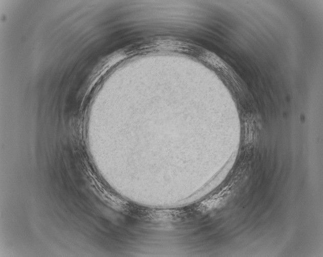 X0000081580828200702051237