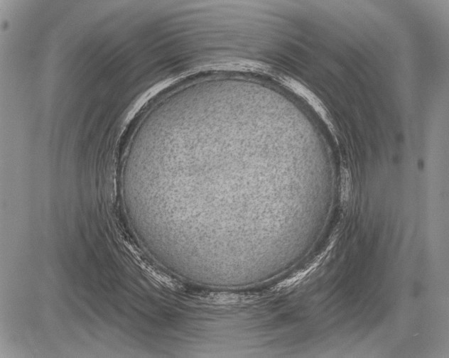 X0000081580829200702051237