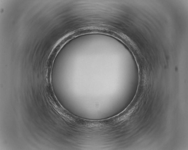 X0000081580830200702051237