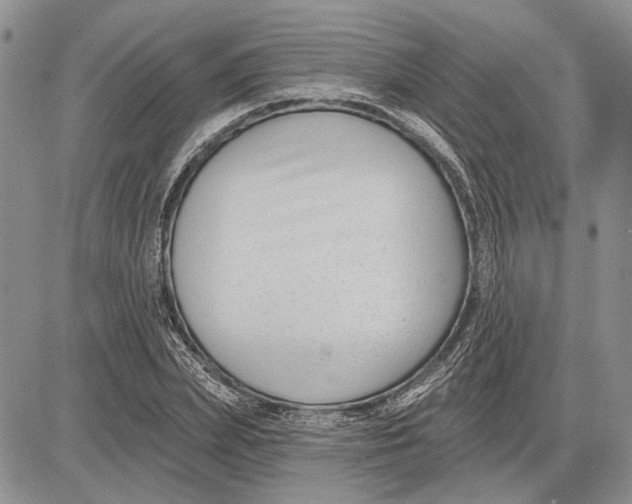 X0000081580831200702051237