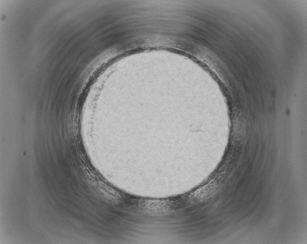 X0000081580832200702051237