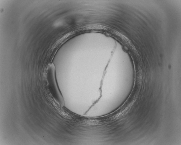 X0000081580833200702051237