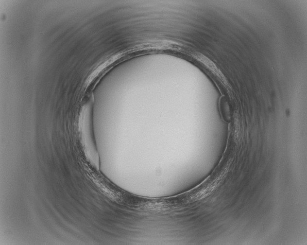 X0000081580834200702051237