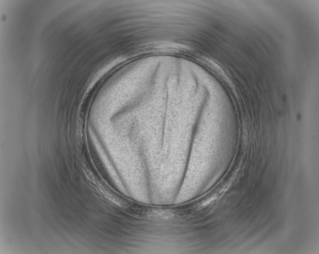 X0000081580835200702051237