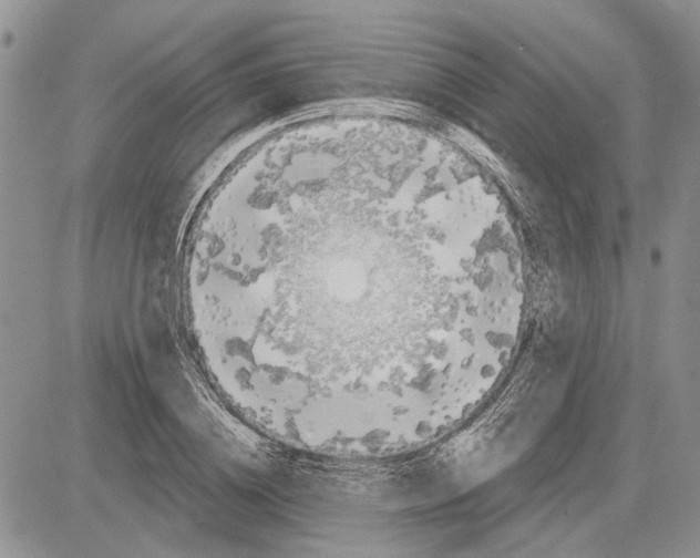 X0000081580836200702051237