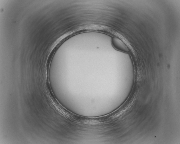 X0000081580837200702051237