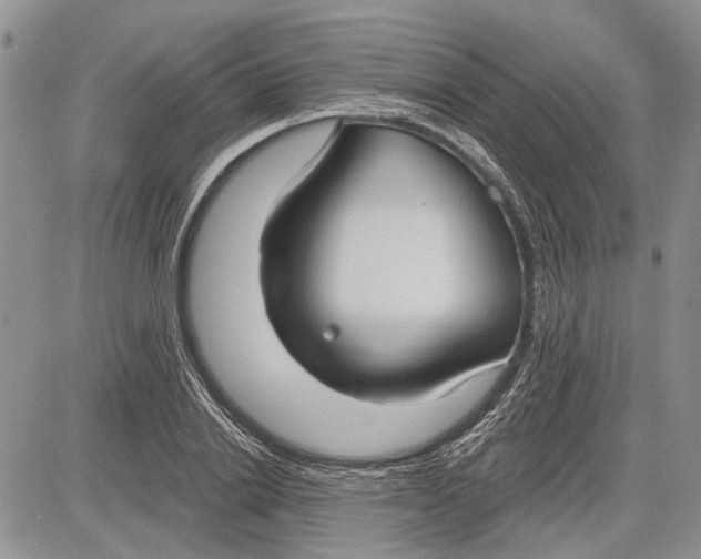 X0000081580838200702051237