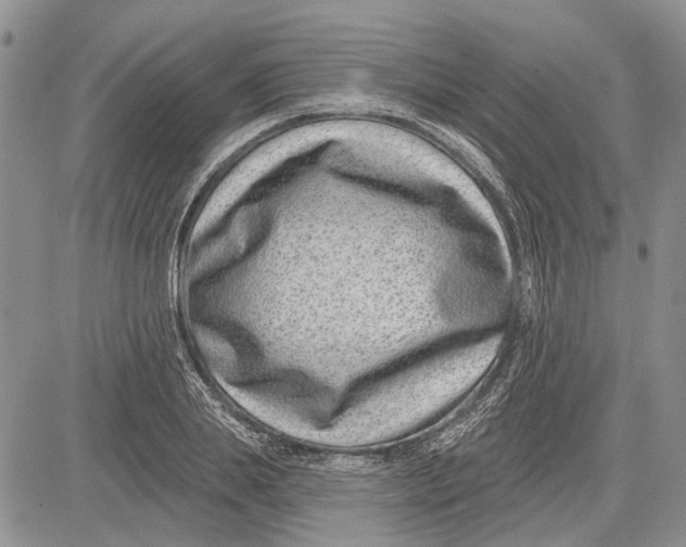 X0000081580839200702051237