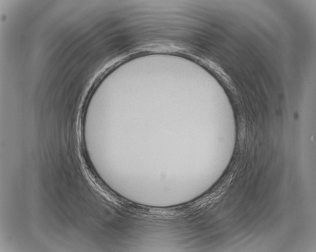 X0000081580840200702051237