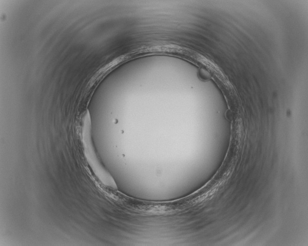 X0000081580841200702051237