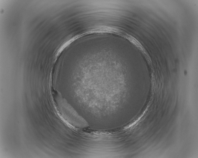 X0000081580842200702051237