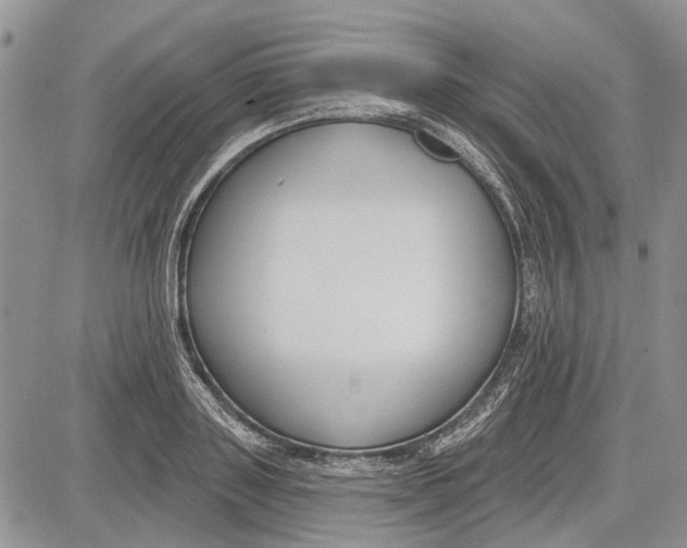 X0000081580843200702051237