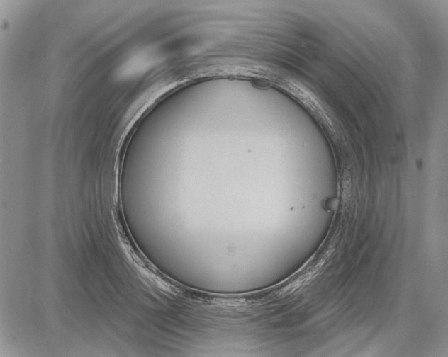 X0000081580844200702051237